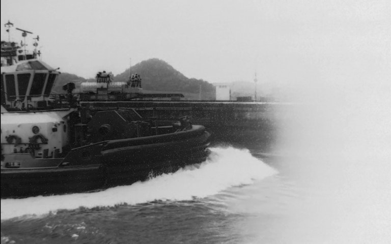 50babcf8 e74e 431c 8784 05052c6682c7