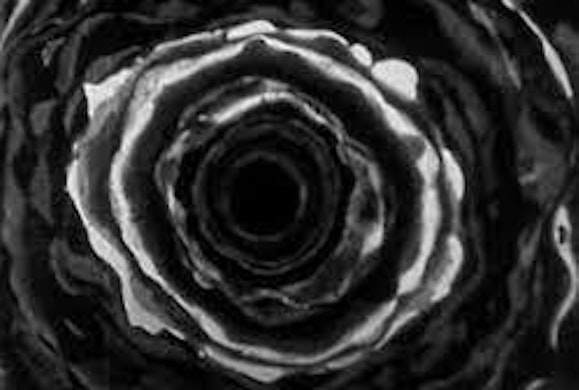 5a9d7986 15c5 4158 bb20 58aee506df72