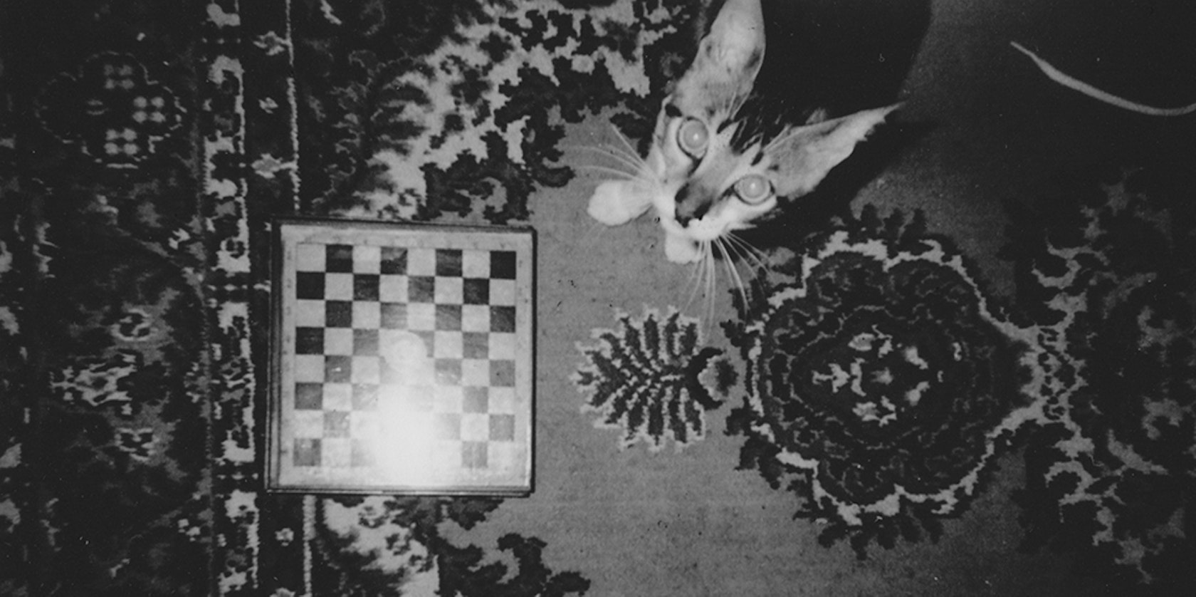 D04e363a 0ef0 4bb2 b016 b6bdd7ac7c7f