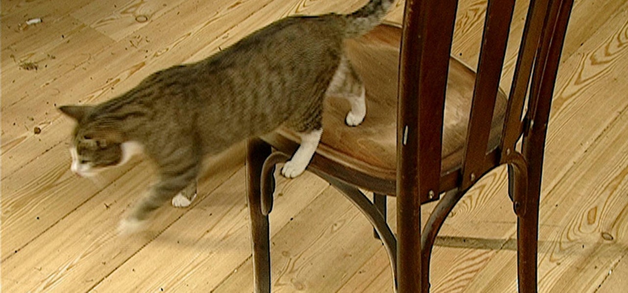 D3385bbe f2c6 438f ba33 3676588a759a