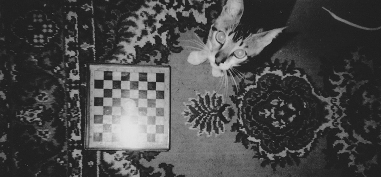 E738924b 57a5 4162 9cb3 e573f98975e2