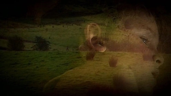 133ebb38 d42b 4dfa a68e 4f7c511535b3