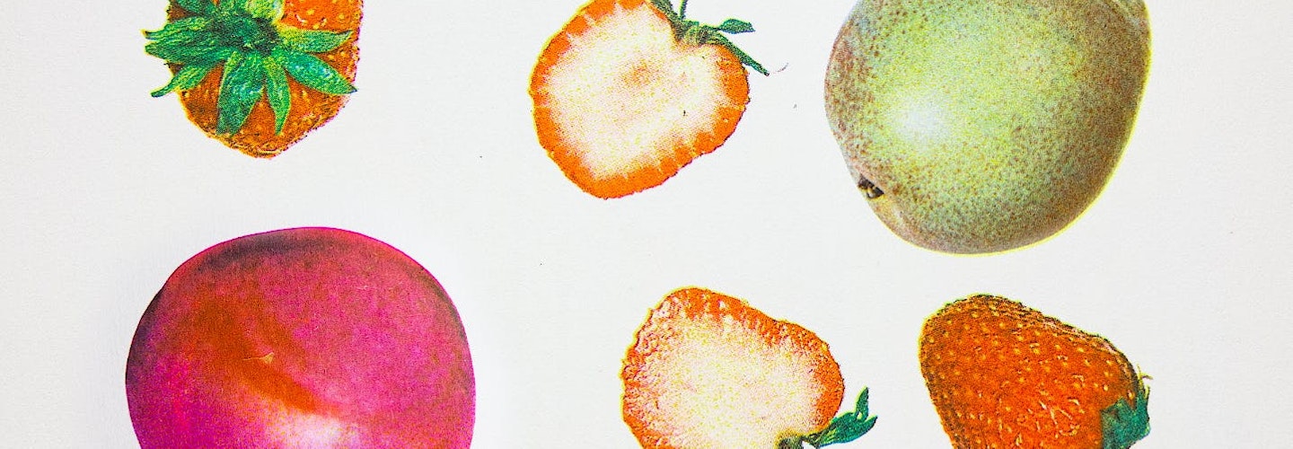 Rachel Portman x Diana Cam Van Nguyen