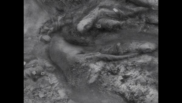 41819e18 fd28 4c23 9076 362c4284dd55