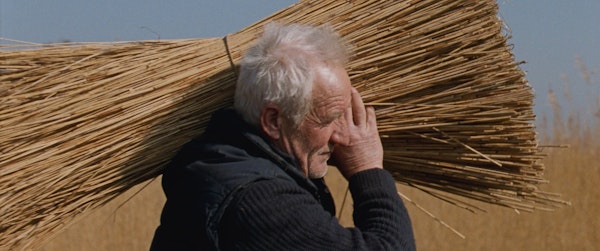 7590e12d 26c9 4697 baef 44dc26484a5a