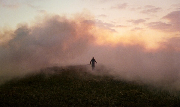 79180656 d716 4a6c b36c 328cf01a3c10