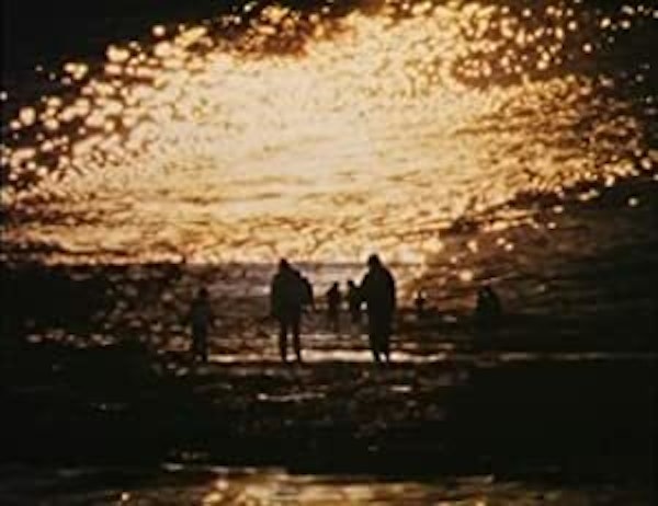 7a119e19 397c 49fc b677 8211dd87bb2e