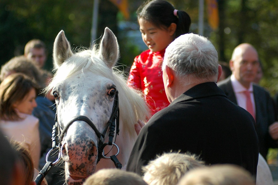 Het paard van Sinterklaas