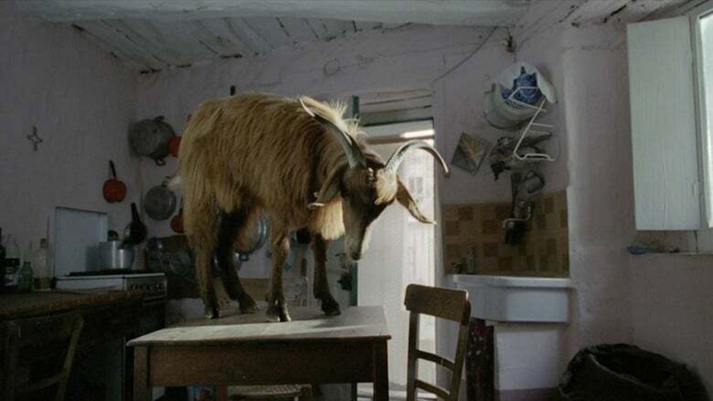 Le Quattro Volte still 1