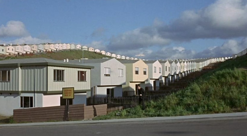 Petulia street