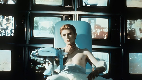 The Man Who Fell to Earth (1976)