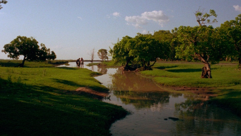 Walkabout landscape