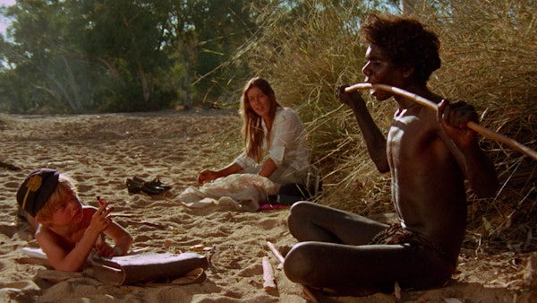 Walkabout stick