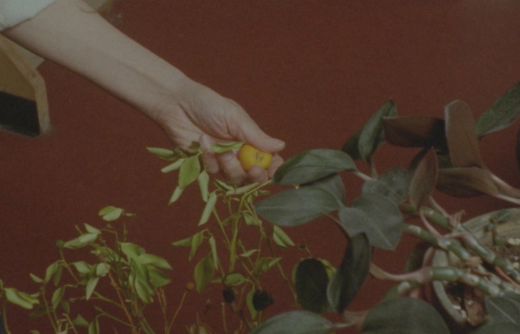 Yours still 1