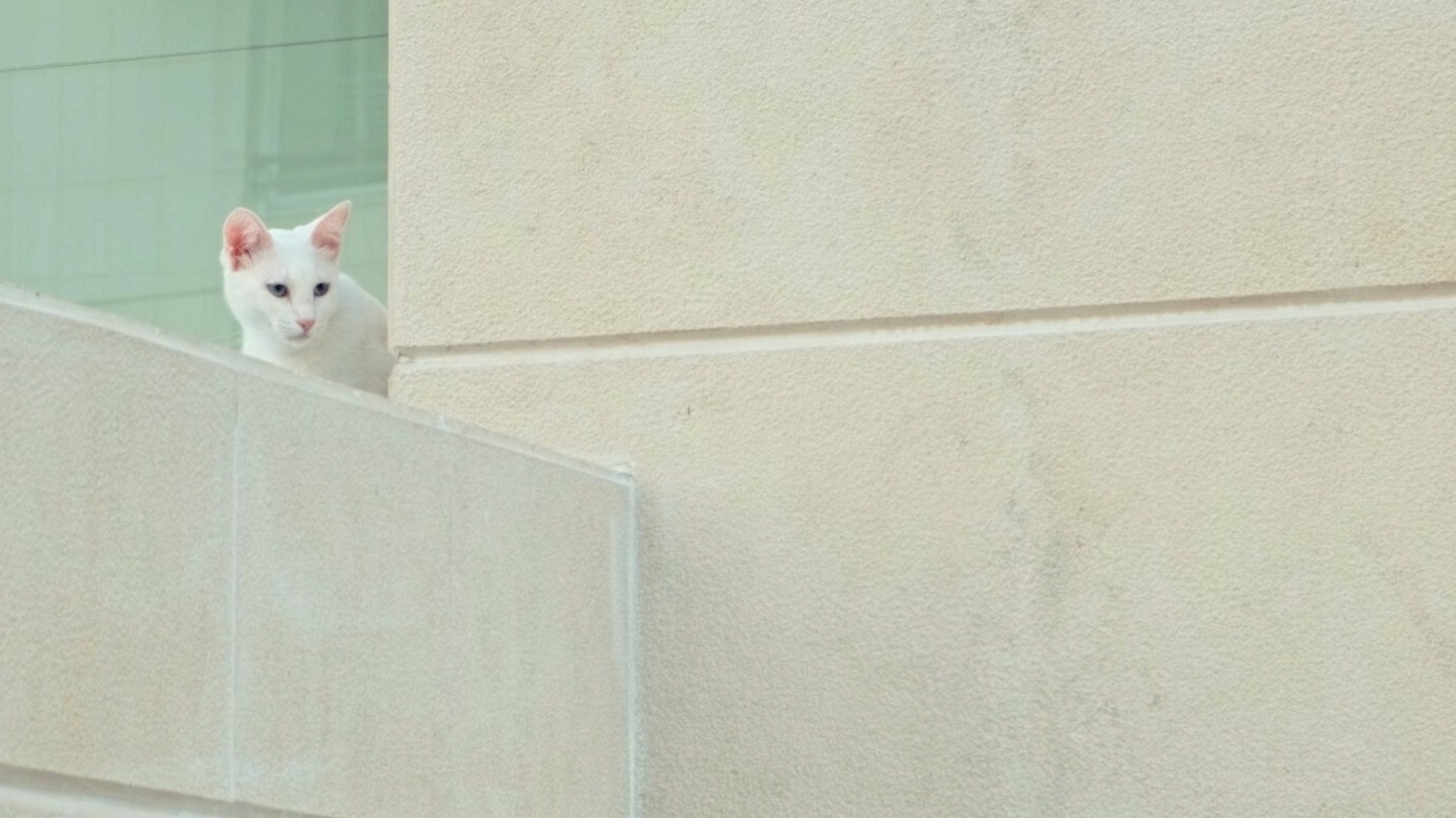 Nothing To See Here