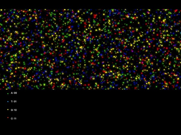 E7b54d27 4046 412e aab2 1b2ee999c2c9