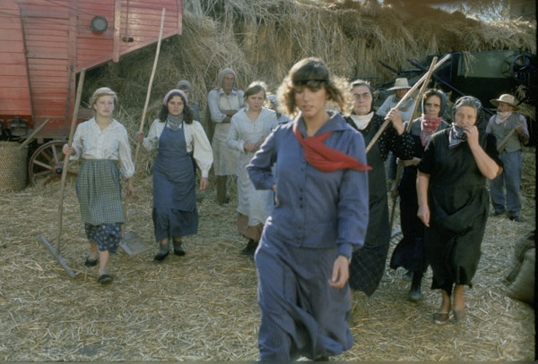 F2cb492a 49d0 4a34 9ff7 c4e08dfee658