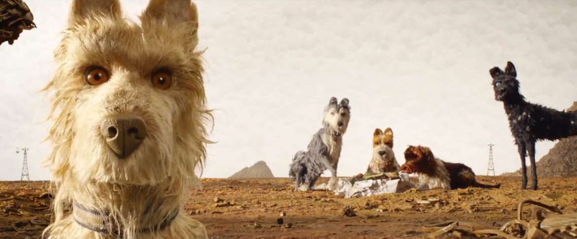 Isle of dogs