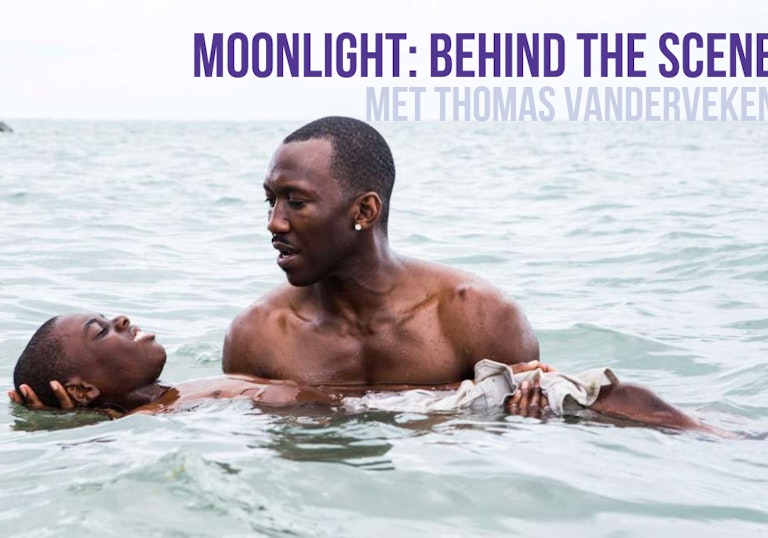 Moonlight website 1 1