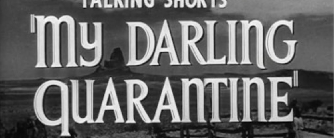 Mydarlingquarantine