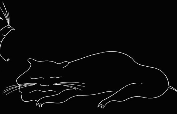 P194i32fer1p2c1pv8mmu10m51p1