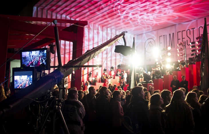 P194p0vs5poni1fj221l1n6jg711